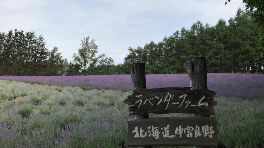 Yamasan 山林小屋