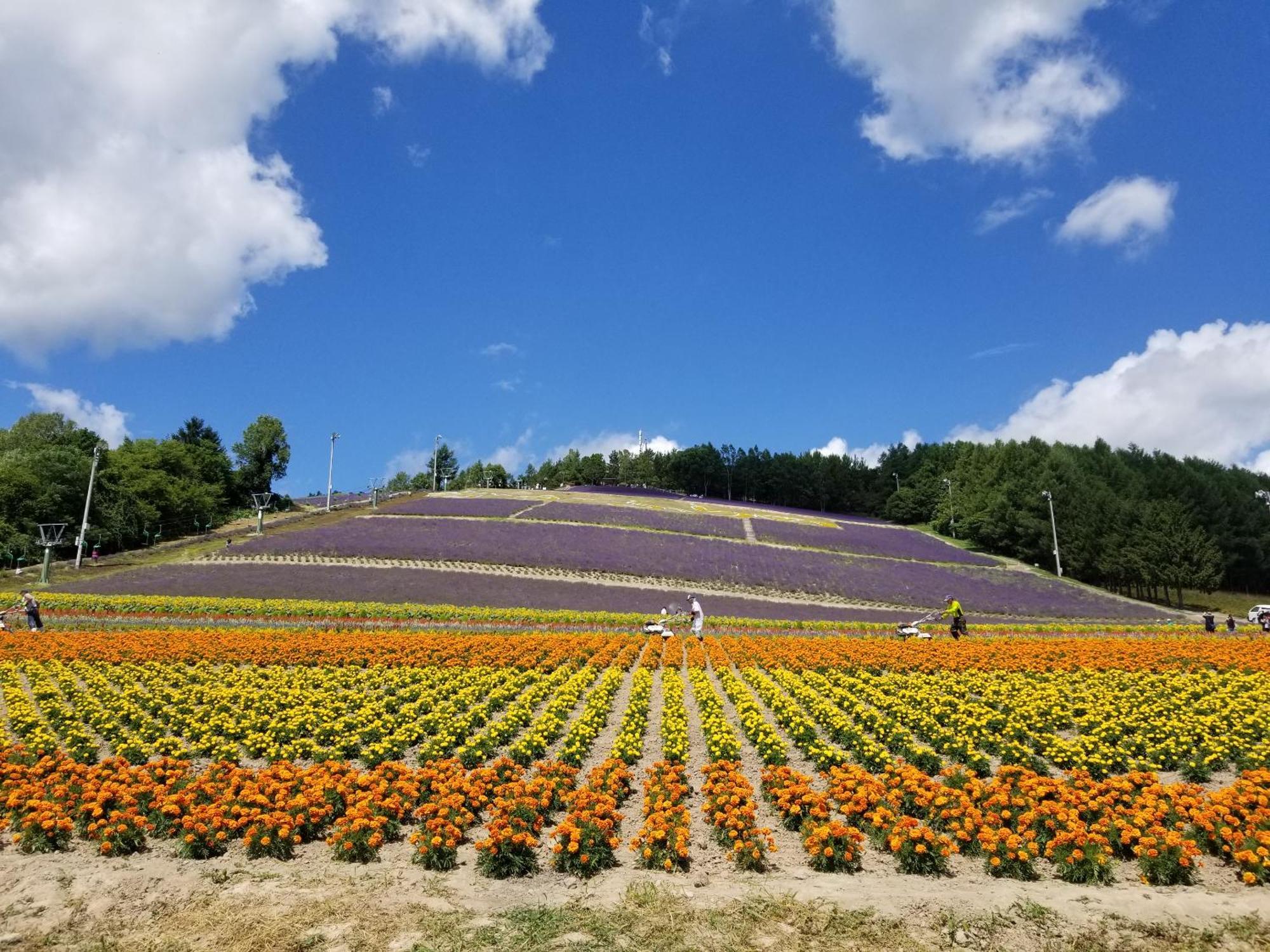 Yamasan Nakafurano